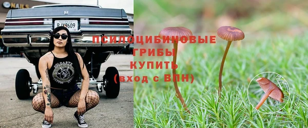 хмурый Надым