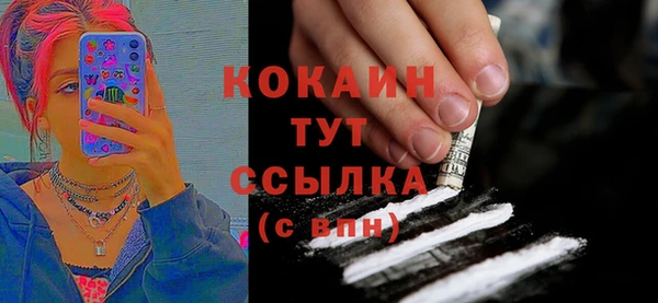 стаф Свободный