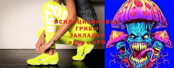 хмурый Надым